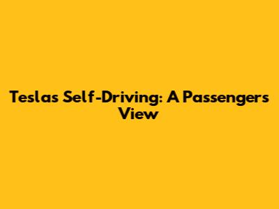 Tesla's Self-Driving: A Passenger's View