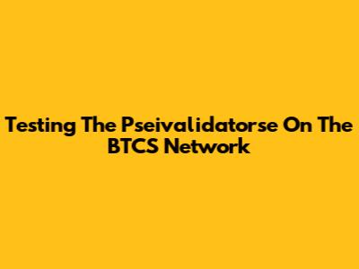 Testing The Pseivalidatorse On The BTCS Network