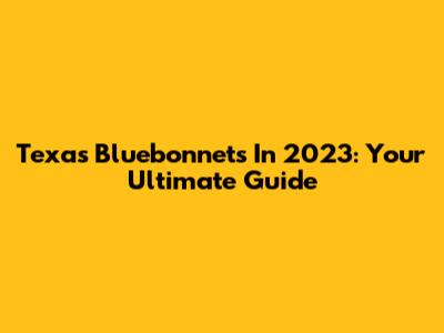 Texas Bluebonnets In 2023: Your Ultimate Guide