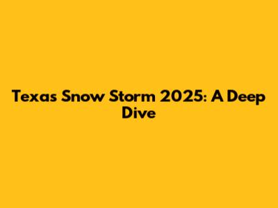Texas Snow Storm 2025: A Deep Dive