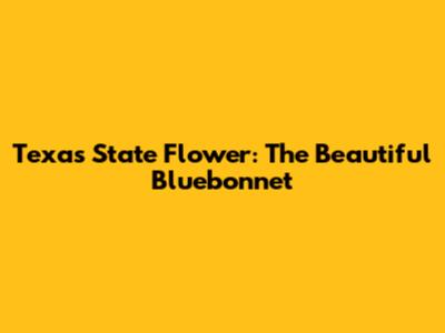Texas State Flower: The Beautiful Bluebonnet
