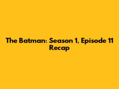 The Batman: Season 1, Episode 11 Recap
