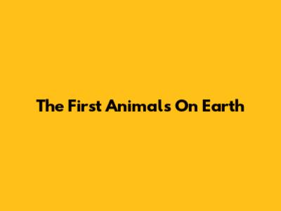 The First Animals On Earth