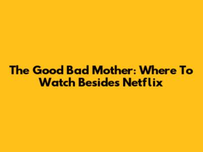 The Good Bad Mother: Where To Watch Besides Netflix
