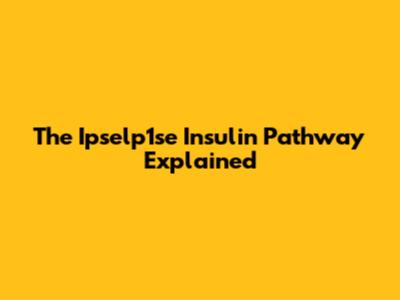The Ipselp1se Insulin Pathway Explained
