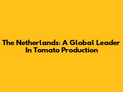 The Netherlands: A Global Leader In Tomato Production