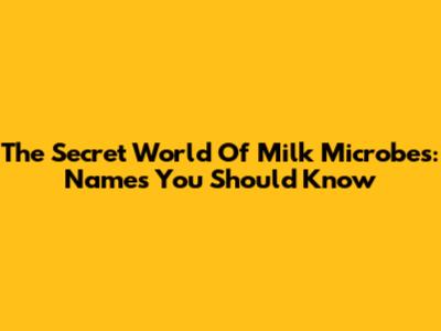 The Secret World Of Milk Microbes: Names You Should Know