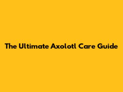 The Ultimate Axolotl Care Guide