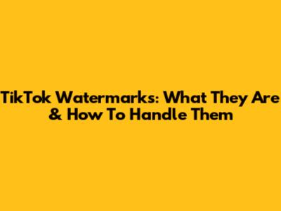 TikTok Watermarks: What They Are & How To Handle Them
