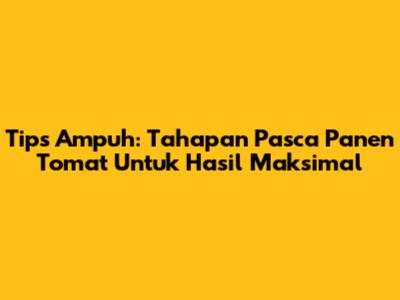 Tips Ampuh: Tahapan Pasca Panen Tomat Untuk Hasil Maksimal