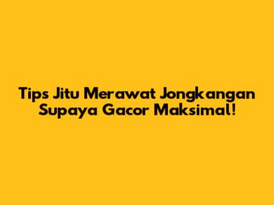 Tips Jitu Merawat Jongkangan Supaya Gacor Maksimal!