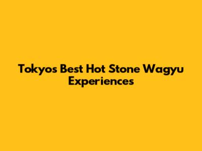 Tokyo's Best Hot Stone Wagyu Experiences