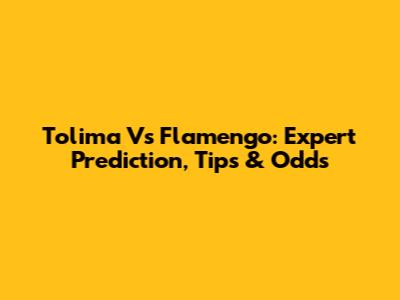 Tolima Vs Flamengo: Expert Prediction, Tips & Odds