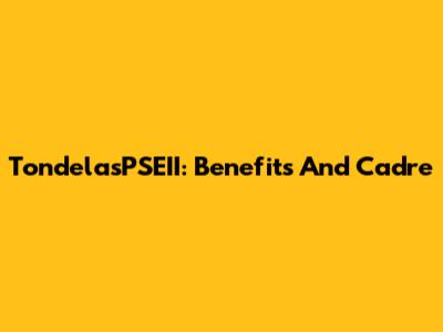 Tondela'sPSEII: Benefits And Cadre