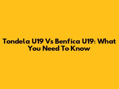 Tondela U19 Vs Benfica U19: What You Need To Know