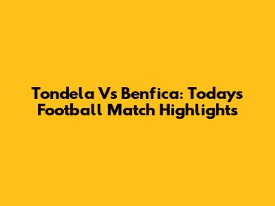 Tondela Vs Benfica: Today's Football Match Highlights