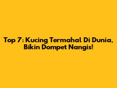Top 7: Kucing Termahal Di Dunia, Bikin Dompet Nangis!