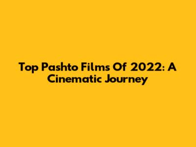 Top Pashto Films Of 2022: A Cinematic Journey