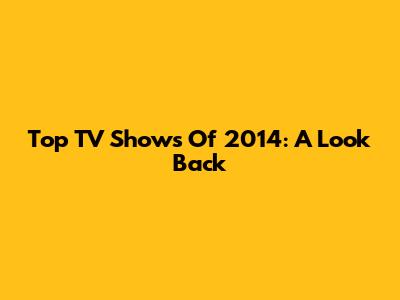 Top TV Shows Of 2014: A Look Back