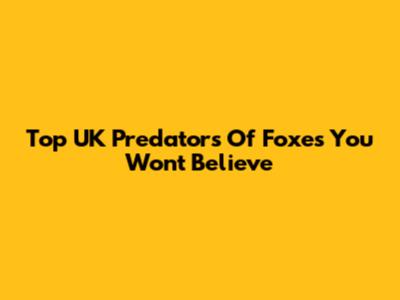 Top UK Predators Of Foxes You Won't Believe