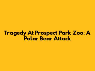 Tragedy At Prospect Park Zoo: A Polar Bear Attack