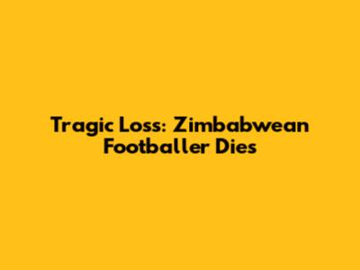 Tragic Loss: Zimbabwean Footballer Dies