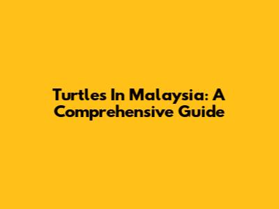 Turtles In Malaysia: A Comprehensive Guide