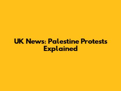 UK News: Palestine Protests Explained
