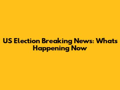 US Election Breaking News: What's Happening Now