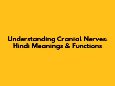 Understanding Cranial Nerves: Hindi Meanings & Functions