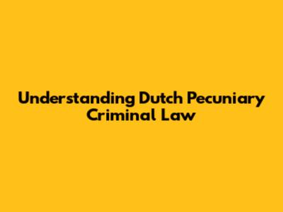 Understanding Dutch Pecuniary Criminal Law