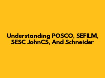 Understanding POSCO, SEFILM, SESC JohnCS, And Schneider