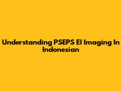Understanding PSEPS EI Imaging In Indonesian