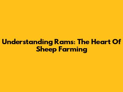 Understanding Rams: The Heart Of Sheep Farming
