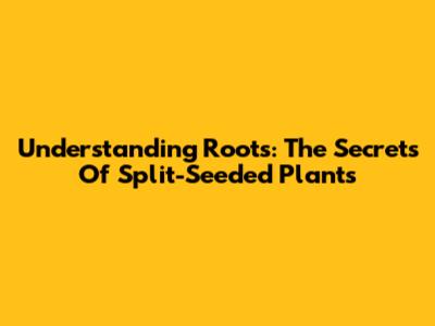 Understanding Roots: The Secrets Of Split-Seeded Plants