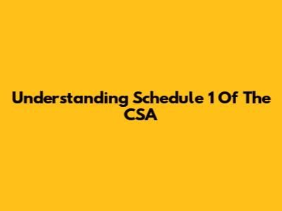 Understanding Schedule 1 Of The CSA