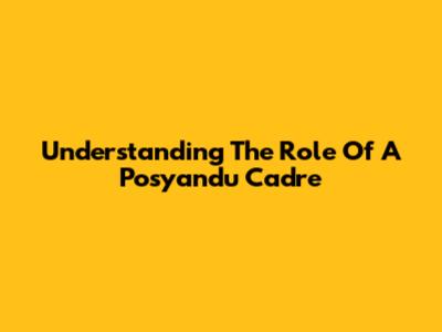 Understanding The Role Of A Posyandu Cadre