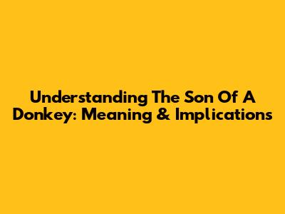Understanding The Son Of A Donkey: Meaning & Implications