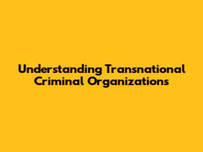 Understanding Transnational Criminal Organizations