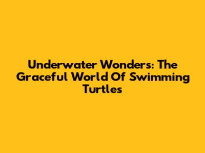 Underwater Wonders: The Graceful World Of Swimming Turtles