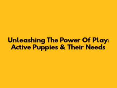 Unleashing The Power Of Play: Active Puppies & Their Needs