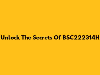 Unlock The Secrets Of BSC222314H