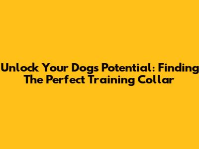 Unlock Your Dog's Potential: Finding The Perfect Training Collar