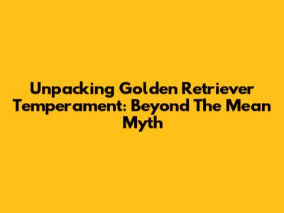 Unpacking Golden Retriever Temperament: Beyond The 'Mean' Myth