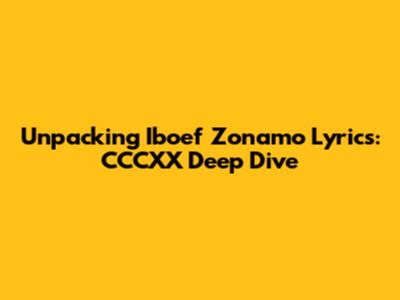 Unpacking Iboef Zonamo Lyrics: CCCXX Deep Dive