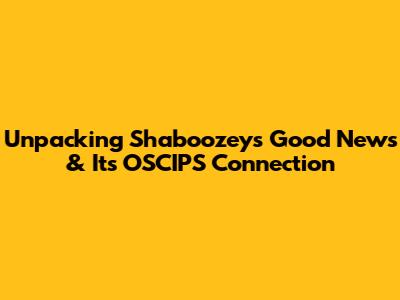 Unpacking Shaboozey's 'Good News' & Its OSCIPS Connection