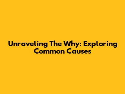 Unraveling The 'Why': Exploring Common Causes