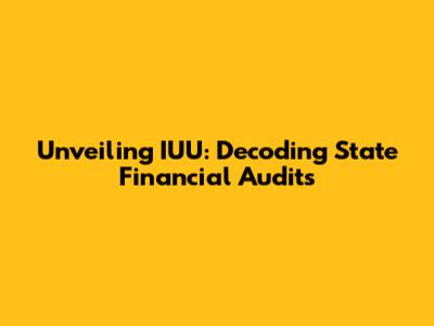 Unveiling IUU: Decoding State Financial Audits
