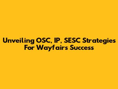 Unveiling OSC, IP, SESC Strategies For Wayfair's Success