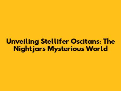 Unveiling Stellifer Oscitans: The Nightjar's Mysterious World